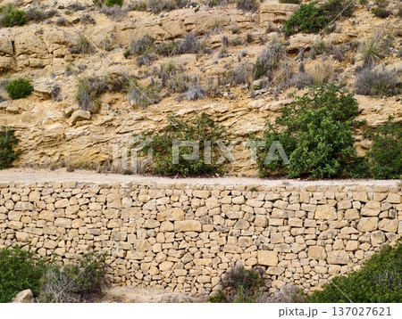 Rustic hillside with dry wall, Arid landscape featuring historic stone barriers and natural vegetation 137027621