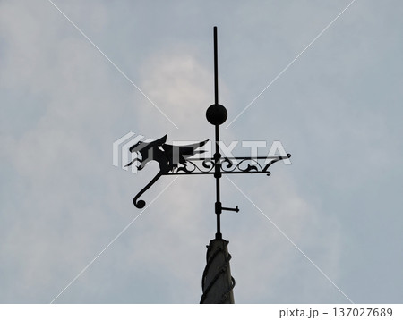Urban scene featuring silhouetted cat, Decorative ironwork and moody sky create dramatic atmosphere Urban scene featuring silhouetted cat, Decorative ironwork and moody sky create dramatic atmosphere 137027689