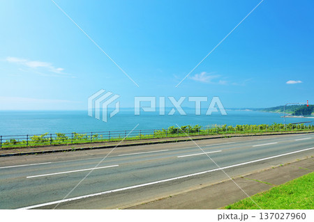 北海道　青空と海沿いの道路 137027960