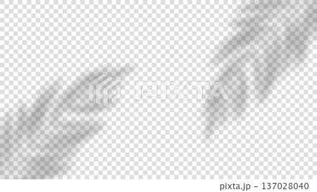 Silhouette of palm leaf shadow overlay isolated on transparent background, tropical natural light effect for photo overlays, branding, posters, social media, packaging, and modern graphic design 137028040