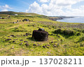 アフ・ビナプ、プカオと海岸沿いの風景、イースター島 137028211