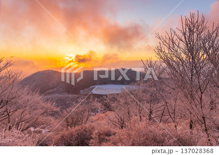 樹氷の赤城山地蔵岳登山道から朝日に染まる樹氷と完全氷結の小沼 137028368