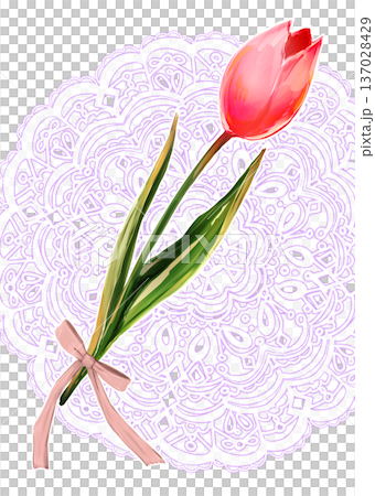 單支鬱金香，絲帶，紅色，蕾絲 137028429