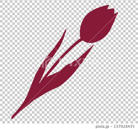 單朵鬱金香的輪廓 單朵鬱金香的輪廓 137028435