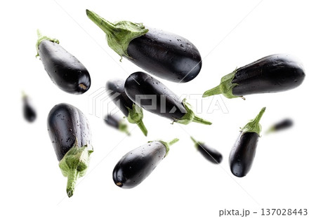 Ripe eggplants levitate on a white background 137028443
