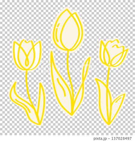 黄色いチューリップのかわいい線画のステッカー風イラストセット 137028497
