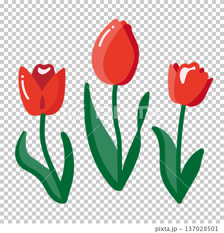 手繪可愛紅色鬱金香插畫集 137028501