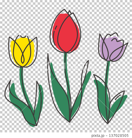 かわいいチューリップの抜け感のあるイラストセット 137028505