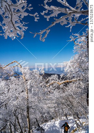 樹氷輝く赤城黒檜山スノーハイク 樹氷輝く赤城黒檜山スノーハイク 137028675