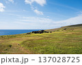 アフ・ビナプの全景、ラパ・ヌイ国立公園、イースター島 137028725