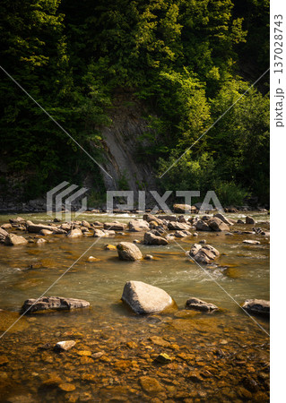 Clear Mountain River with Stones and Shallow Water Clear Mountain River with Stones and Shallow Water 137028743