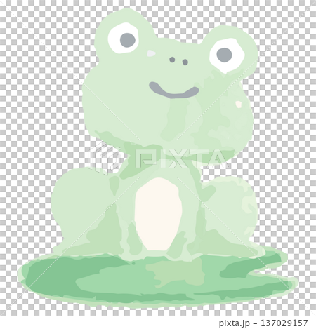 幼稚園・保育園向け 6月のやさしい水彩挿絵イラストシリーズ｜蓮の上に乗るカエル 137029157