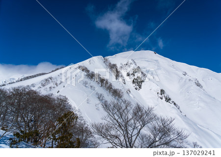 冬の谷川岳冬山登山 冬の谷川岳冬山登山 137029241