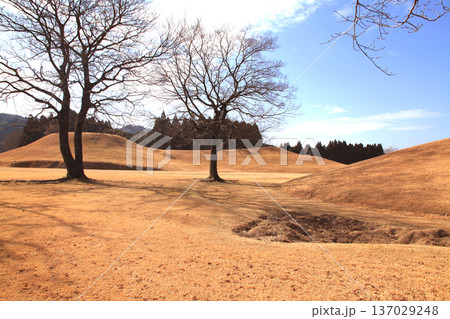 熊本県山鹿市　国指定史跡の岩原古墳群の風景 137029248