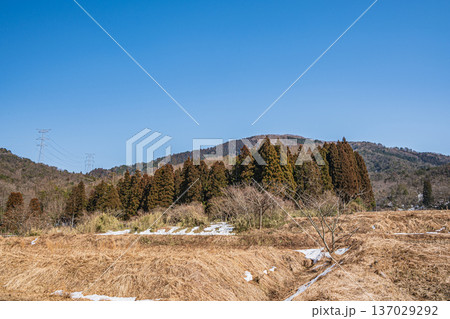 奥琵琶湖の里山風景　滋賀県長浜市永原 137029292