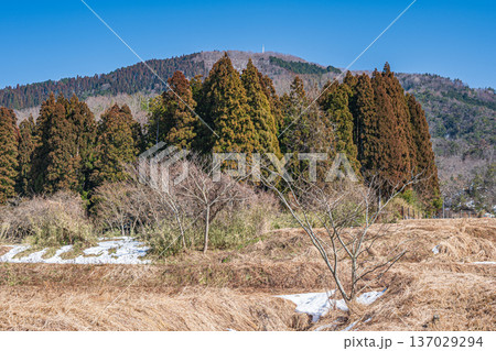 奥琵琶湖の里山風景 滋賀県長浜市永原 奥琵琶湖の里山風景 滋賀県長浜市永原 137029294