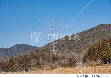 奥琵琶湖の里山風景　滋賀県長浜市永原 137029296