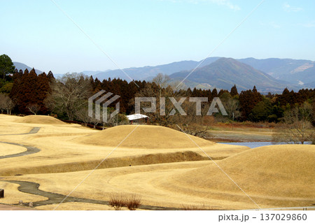 熊本県山鹿市　国指定史跡の岩原古墳群の風景 137029860