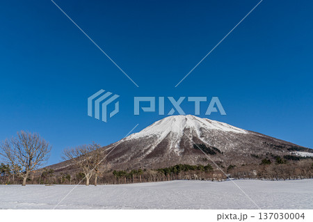 雪がかかった大山　鳥取県 137030004