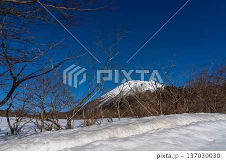 雪がかかった大山 鳥取県 雪がかかった大山 鳥取県 137030030