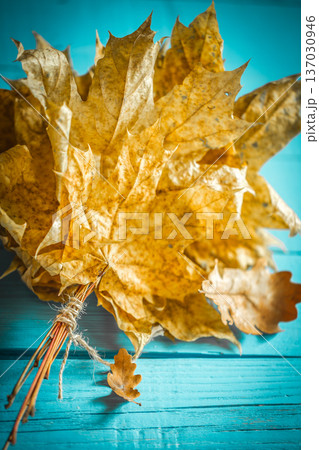 beautiful autumn leaves on wooden background beautiful autumn leaves on wooden background 137030946