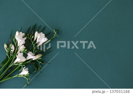 Bouquet of white exotic flowers on a dark blue background. Bouquet of white exotic flowers on a dark blue background. 137031188