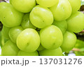 シャインマスカット 137031276