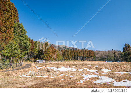 奥琵琶湖の棚田風景 滋賀県長浜市永原 奥琵琶湖の棚田風景 滋賀県長浜市永原 137031523