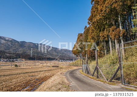 奥琵琶湖の田園風景　滋賀県長浜市永原 137031525