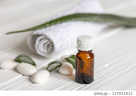 Spa composition with a jar of natural oil and aloe leaves with a towel. Spa composition with a jar of natural oil and aloe leaves with a towel. 137031812