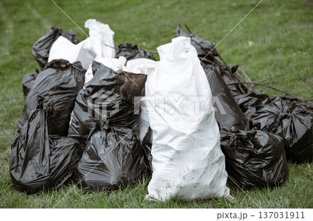 Close-up of garbage bags in the forest on the grass. Close-up of garbage bags in the forest on the grass. 137031911