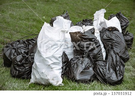 Close-up of garbage bags in the forest on the grass. 137031912