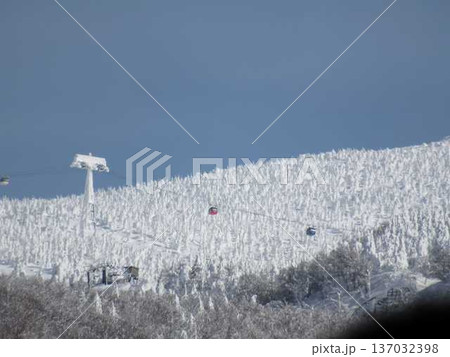 樹氷　霧氷　蔵王 137032398