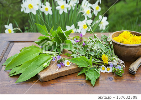 Spring plants and herbs 137032509