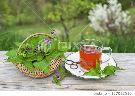 Nettle tea Nettle tea 137032510