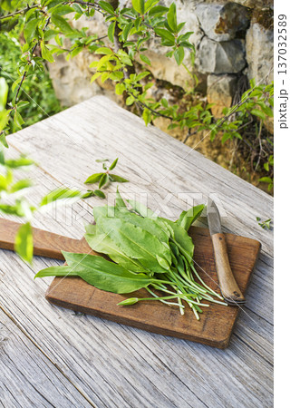 Wild garlic ramson 137032589