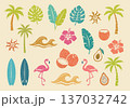 Summer tropical elements and illustrations for vibrant designs. Vector illustration 137032742