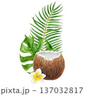 Watercolor illustration of coconut with monstera leaf, palm frond and plumeria flower. Hand painted tropical composition created as exotic botanical artwork for packaging, spa branding and summer 137032817