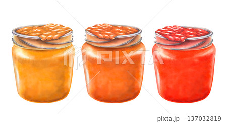 Watercolor set of apricot jam glass jars. Hand painted collection of homemade fruit preserves isolated on white background for packaging design, food branding, organic product, farmers market concepts Watercolor set of apricot jam glass jars. Hand painted collection of homemade fruit preserves isolated on white background for packaging design, food branding, organic product, farmers market concepts 137032819