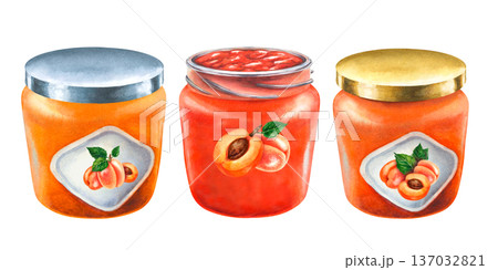 Hand painted watercolor set of apricot jam glass jars with different lids, labels. Homemade fruit preserves isolated on white background for packaging design, food branding, jam labels, farmers market Hand painted watercolor set of apricot jam glass jars with different lids, labels. Homemade fruit preserves isolated on white background for packaging design, food branding, jam labels, farmers market 137032821