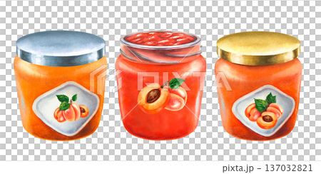 Hand painted watercolor set of apricot jam glass jars with different lids, labels. Homemade fruit preserves isolated on white background for packaging design, food branding, jam labels, farmers market Hand painted watercolor set of apricot jam glass jars with different lids, labels. Homemade fruit preserves isolated on white background for packaging design, food branding, jam labels, farmers market 137032821