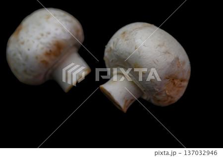 Fresh Button Mushrooms on Dark Background 137032946