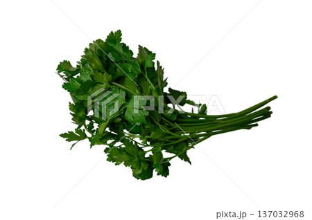 Fresh Parsley Bouquet on White Fresh Parsley Bouquet on White 137032968