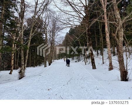 北海道神の子池をスノーシュー散策 北海道神の子池をスノーシュー散策 137033275