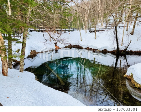 北海道神の子池をスノーシュー散策 北海道神の子池をスノーシュー散策 137033301