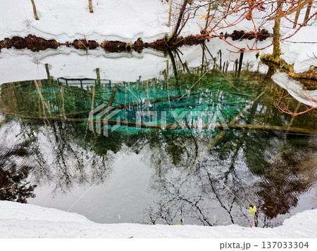 北海道神の子池をスノーシュー散策 北海道神の子池をスノーシュー散策 137033304