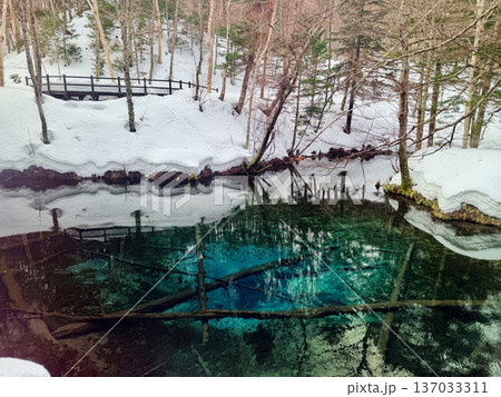 北海道神の子池をスノーシュー散策 北海道神の子池をスノーシュー散策 137033311