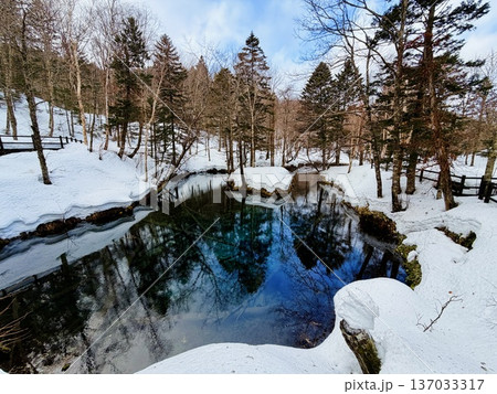 北海道神の子池をスノーシュー散策 137033317