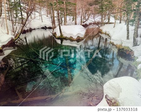 北海道神の子池をスノーシュー散策 北海道神の子池をスノーシュー散策 137033318