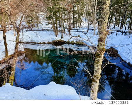 北海道神の子池をスノーシュー散策 北海道神の子池をスノーシュー散策 137033321